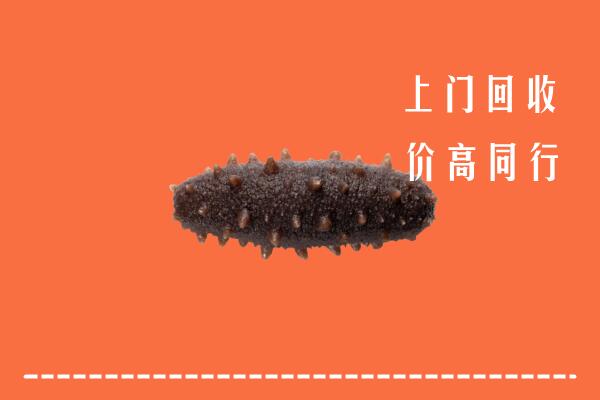 郑州市上街回收海参