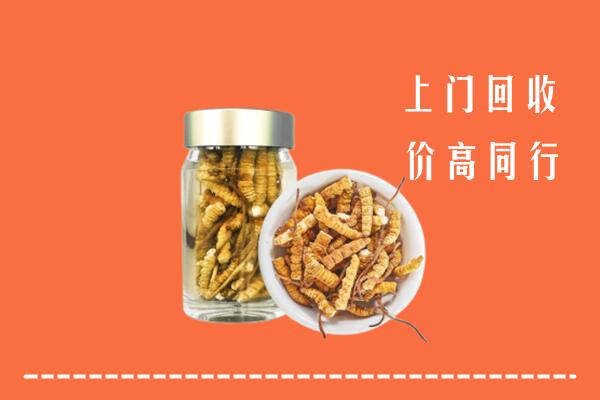 郑州市上街回收冬虫夏草