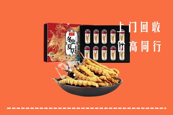 郑州市上街回收虫草